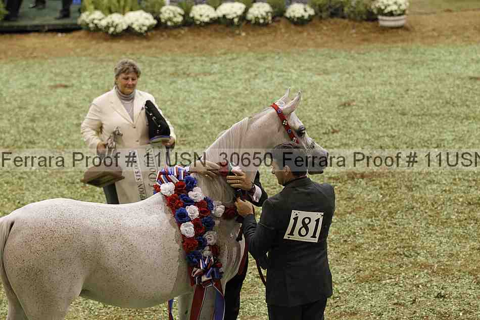 Proof 11usn_30650