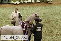 11usn_30650 proof