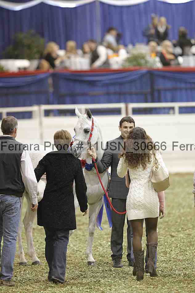 Proof 11usn_30666