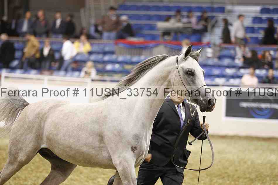 Proof 11usn_33754
