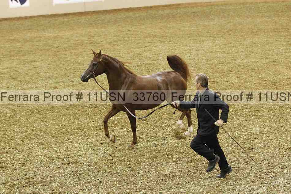 Proof 11usn_33760