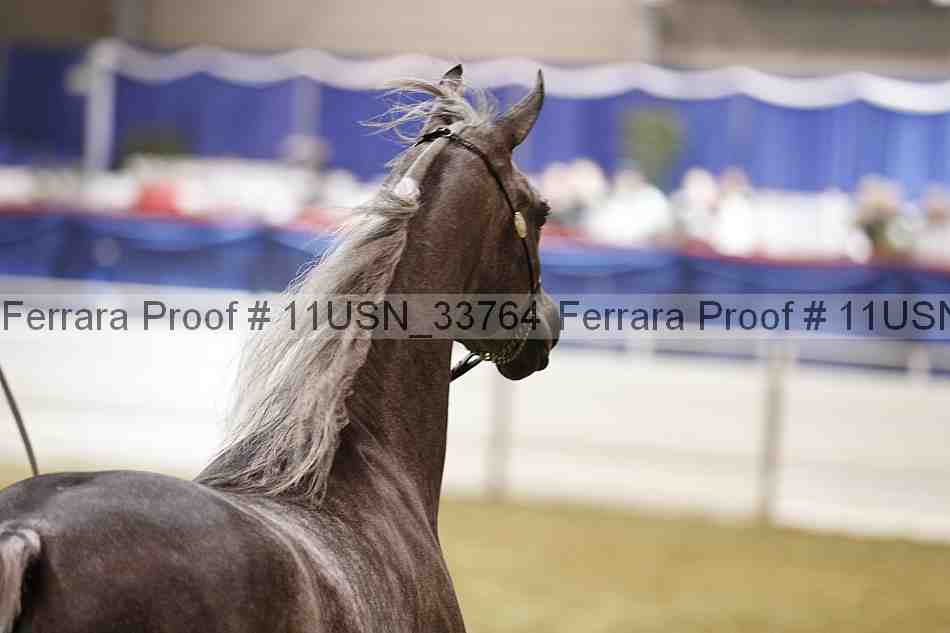 Proof 11usn_33764