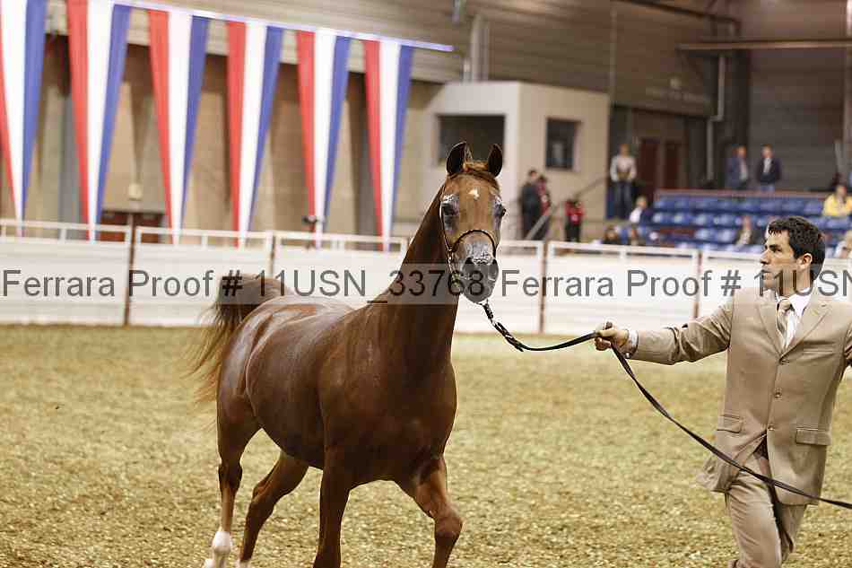 Proof 11usn_33768