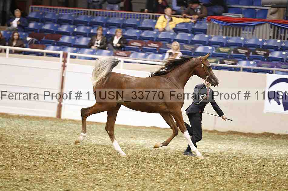 Proof 11usn_33770