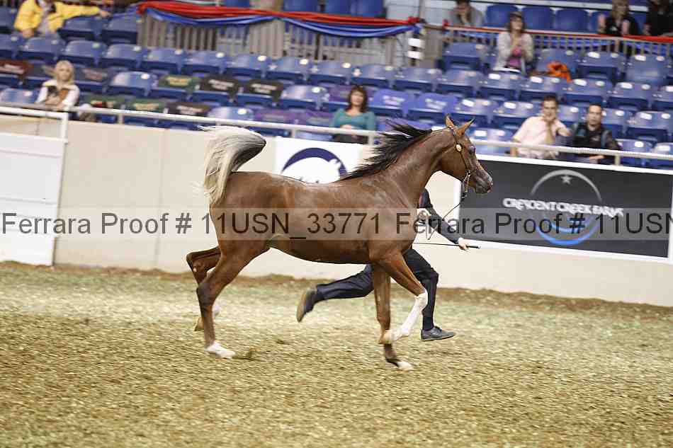 Proof 11usn_33771