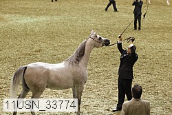 11usn_33774 proof