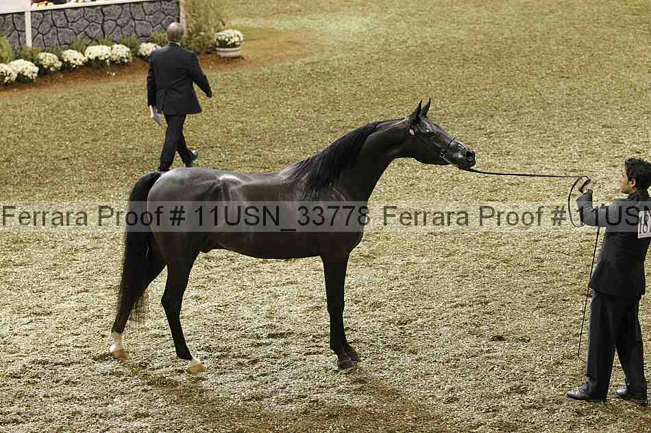 Proof 11usn_33778