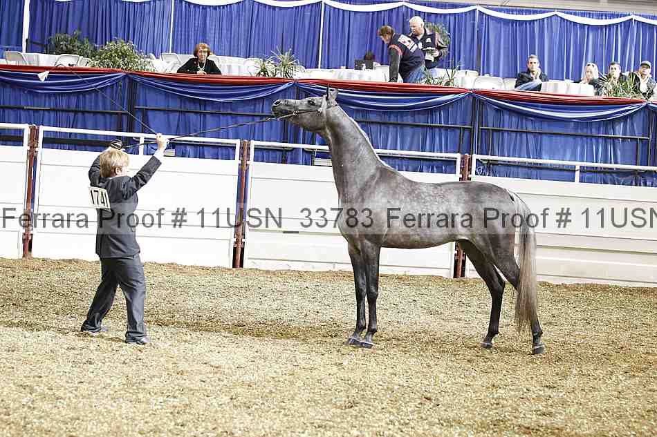Proof 11usn_33783