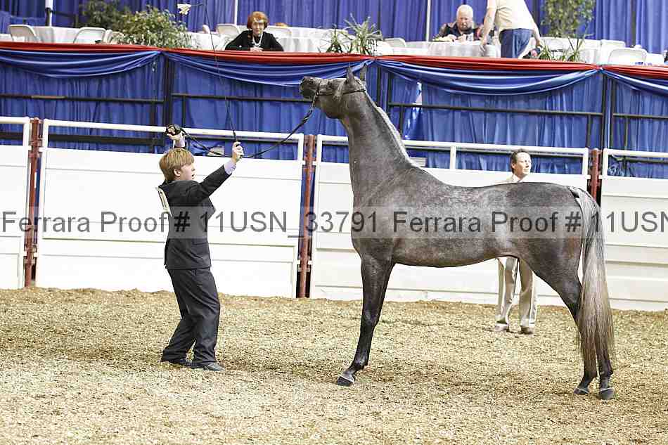 Proof 11usn_33791