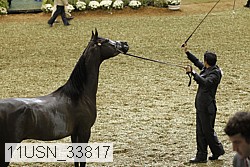 11usn_33817 proof