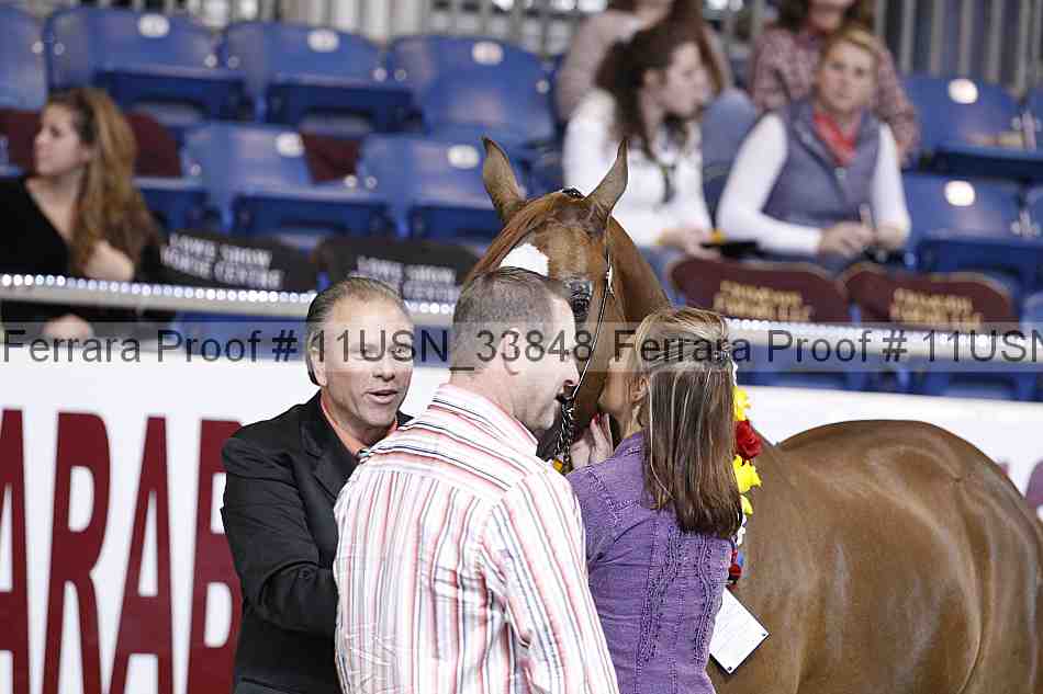 Proof 11usn_33848
