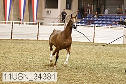 11usn_34381 proof