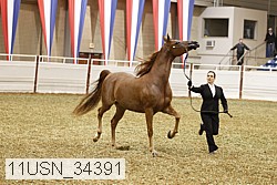 11usn_34391 proof