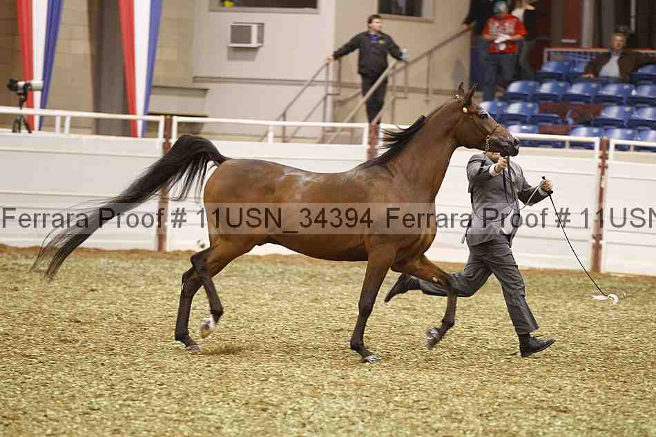 Proof 11usn_34394