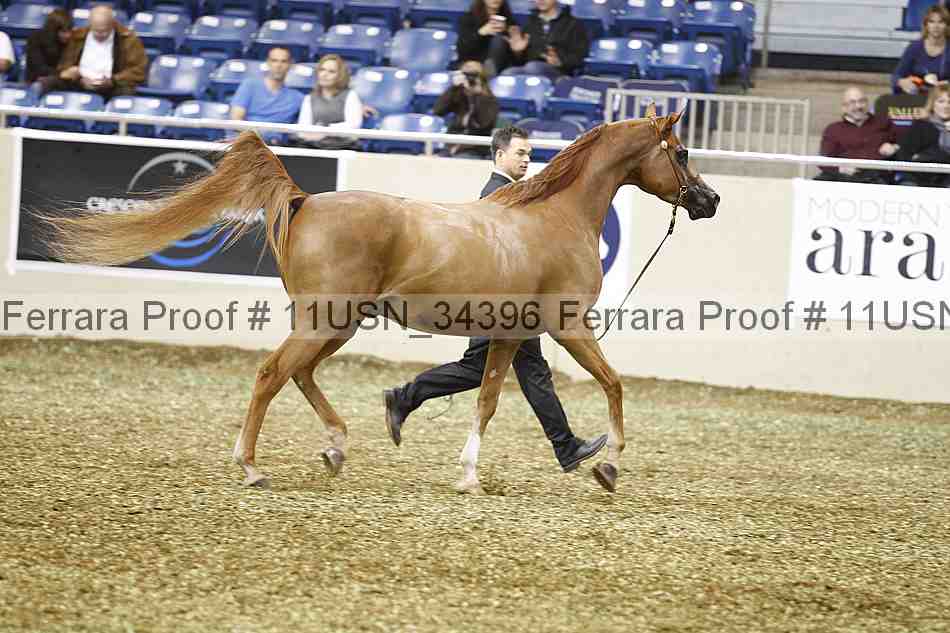 Proof 11usn_34396