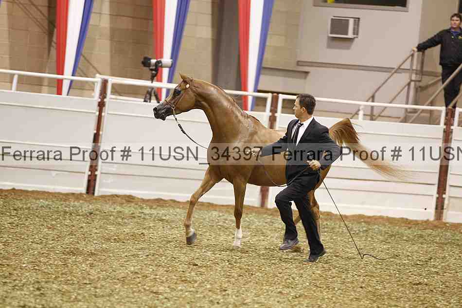 Proof 11usn_34397