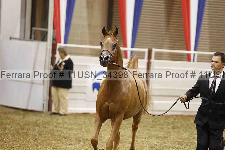 Proof 11usn_34398