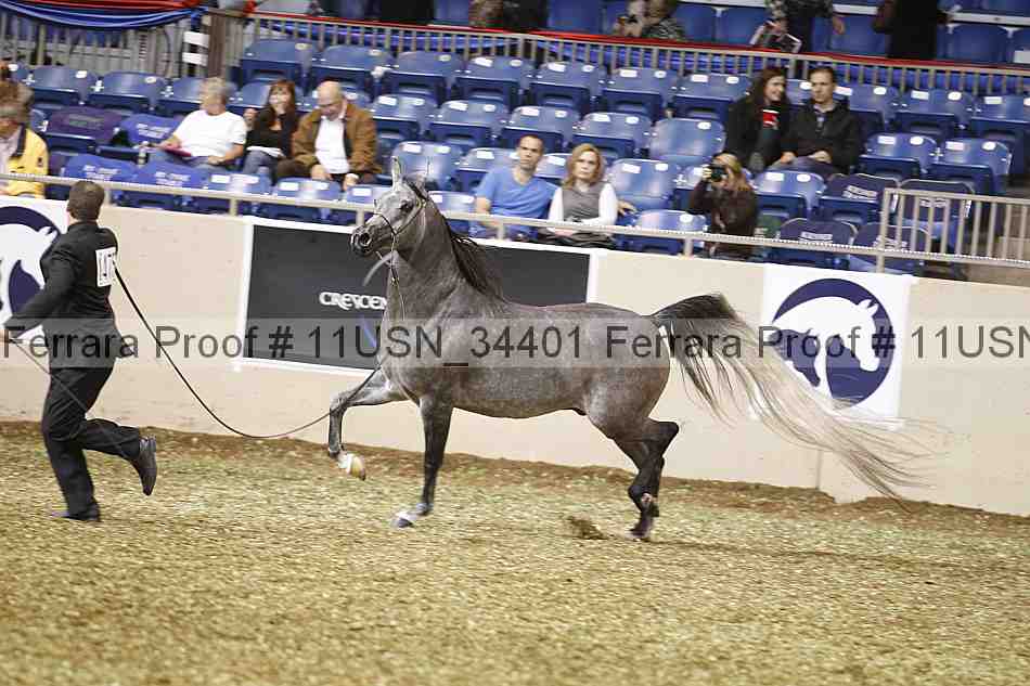 Proof 11usn_34401