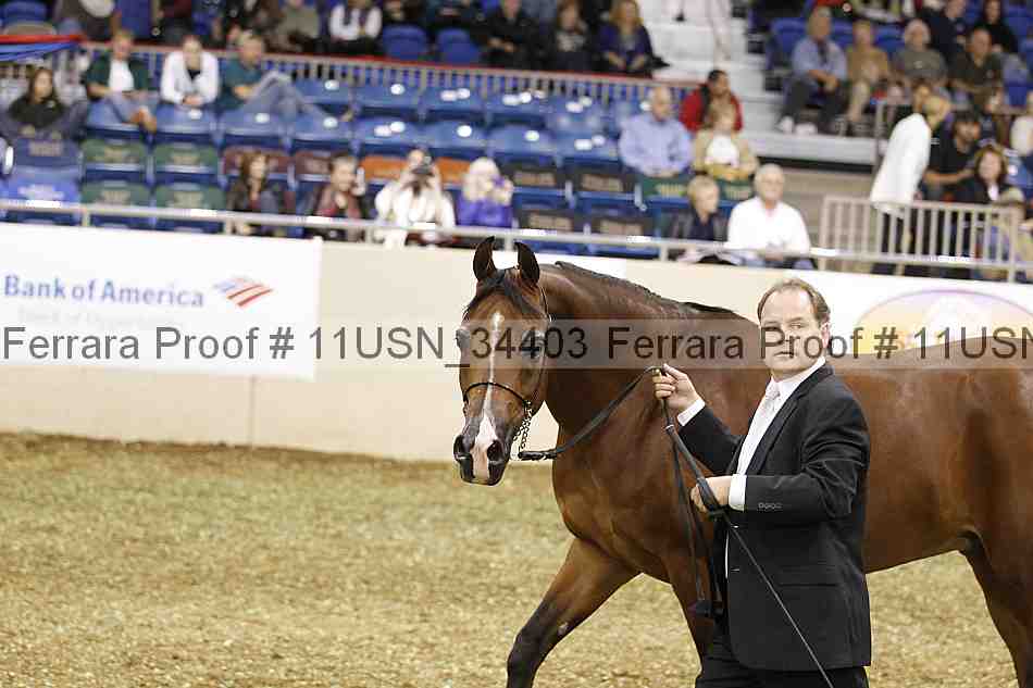 Proof 11usn_34403