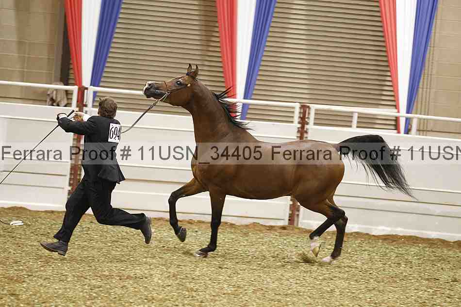Proof 11usn_34405