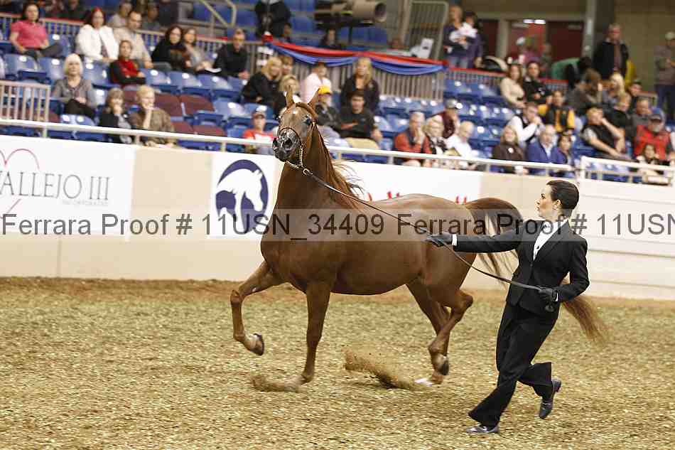 Proof 11usn_34409