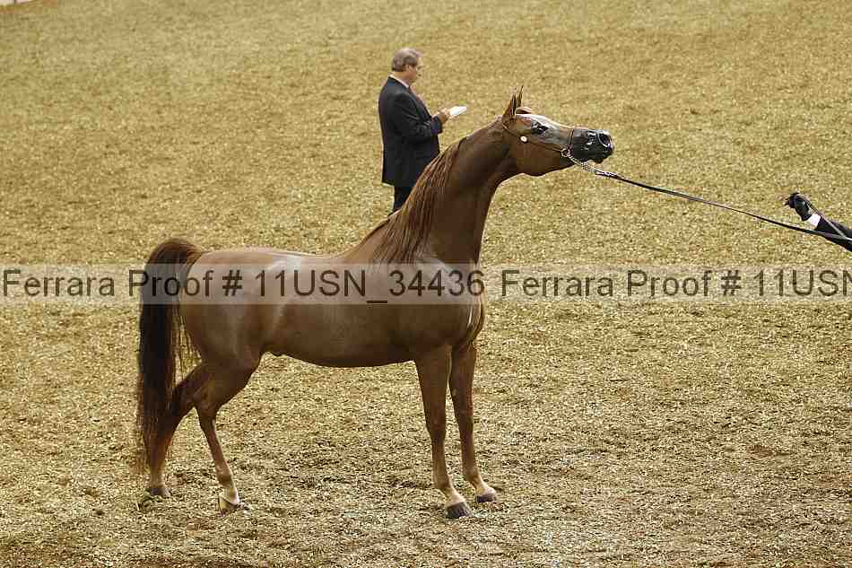 Proof 11usn_34436