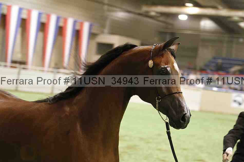 Proof 11usn_34943