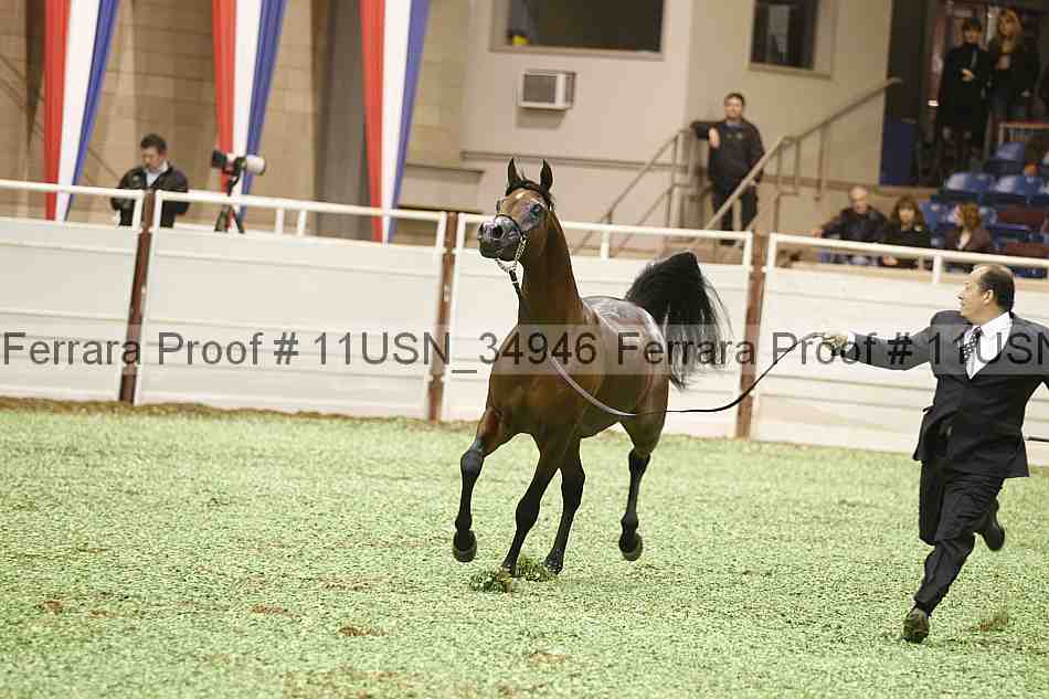 Proof 11usn_34946