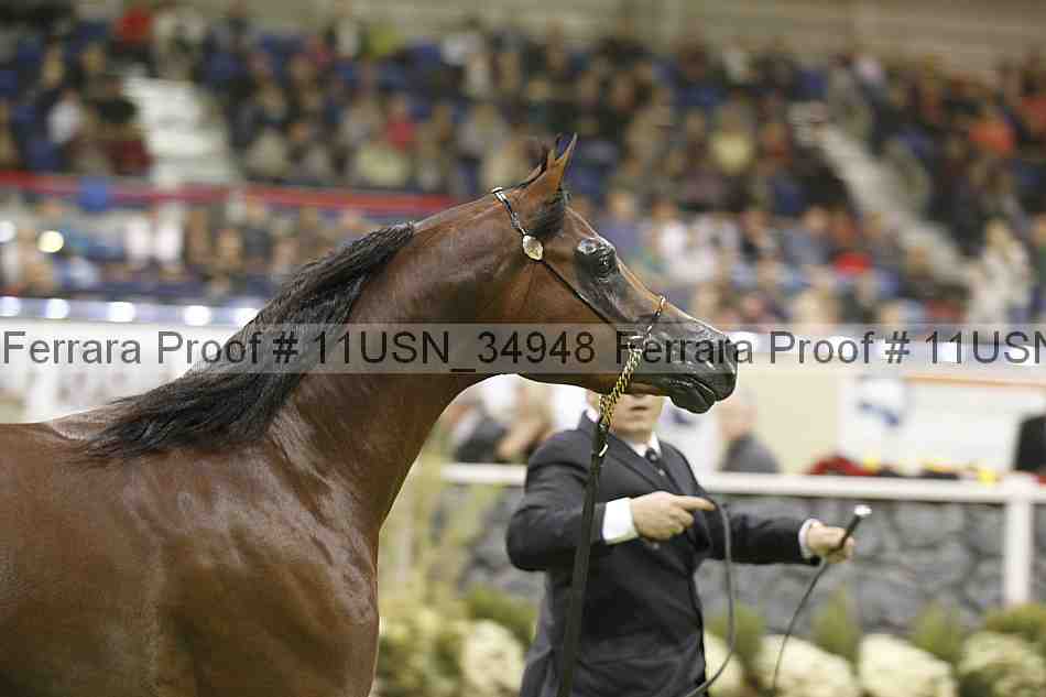 Proof 11usn_34948