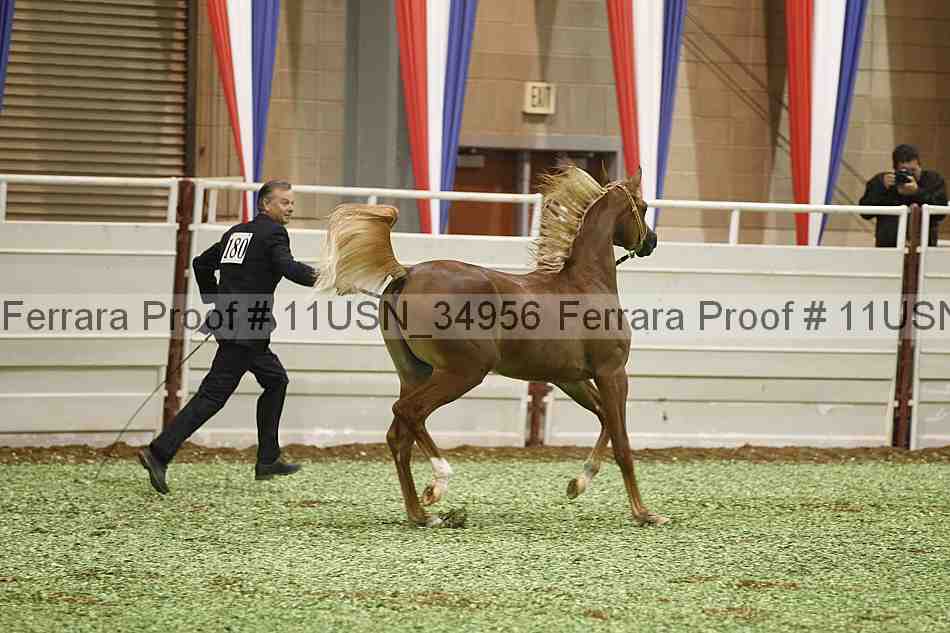 Proof 11usn_34956