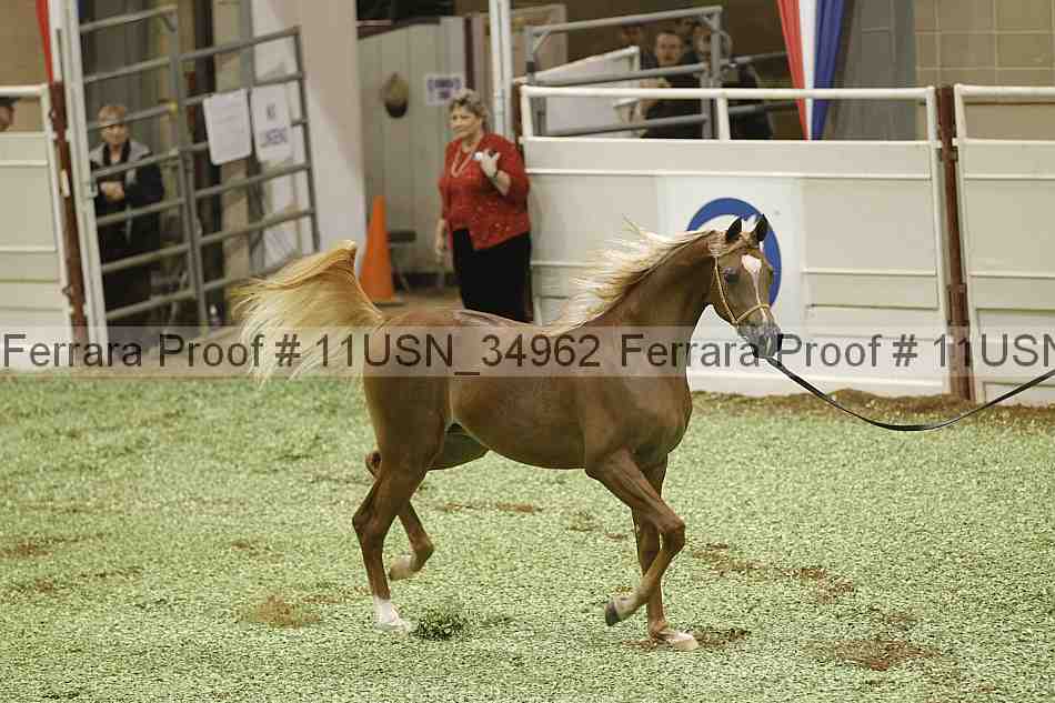 Proof 11usn_34962