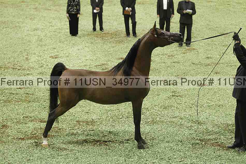Proof 11usn_34977