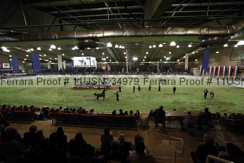 Proof 11usn_34979