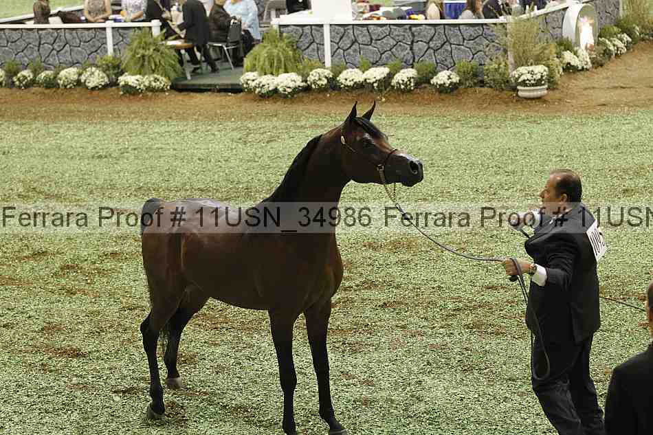 Proof 11usn_34986