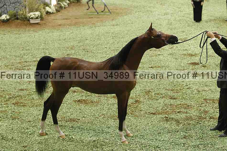 Proof 11usn_34989