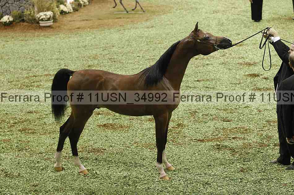 Proof 11usn_34992