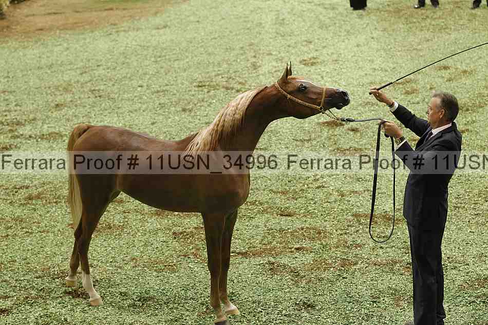 Proof 11usn_34996