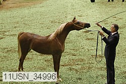 11usn_34996 proof