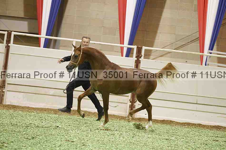Proof 11usn_35001