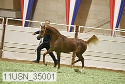 11usn_35001 proof