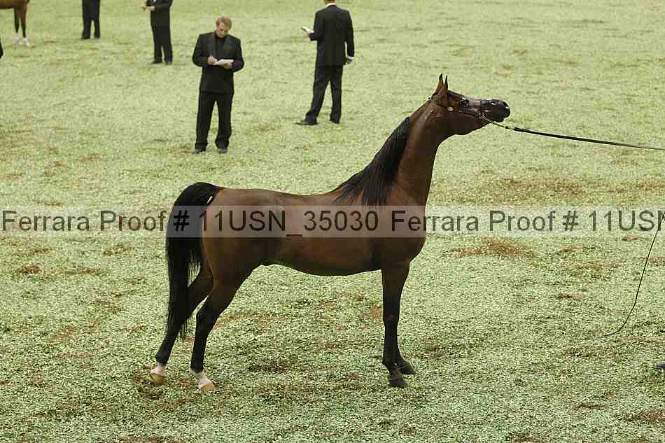 Proof 11usn_35030