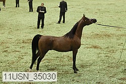 11usn_35030 proof