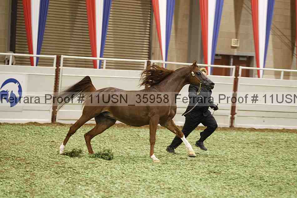 Proof 11usn_35958