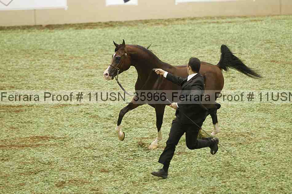 Proof 11usn_35966