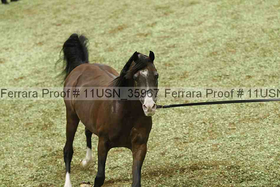Proof 11usn_35967