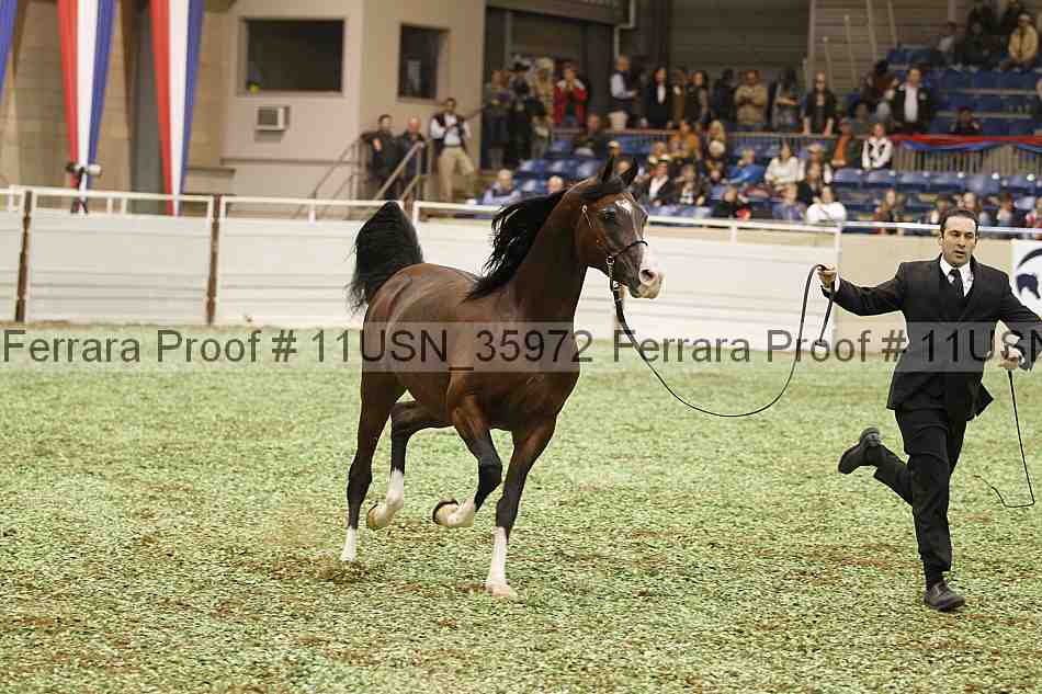 Proof 11usn_35972