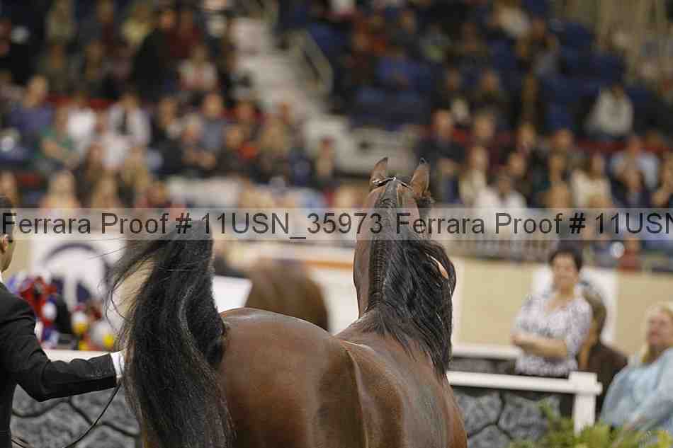 Proof 11usn_35973