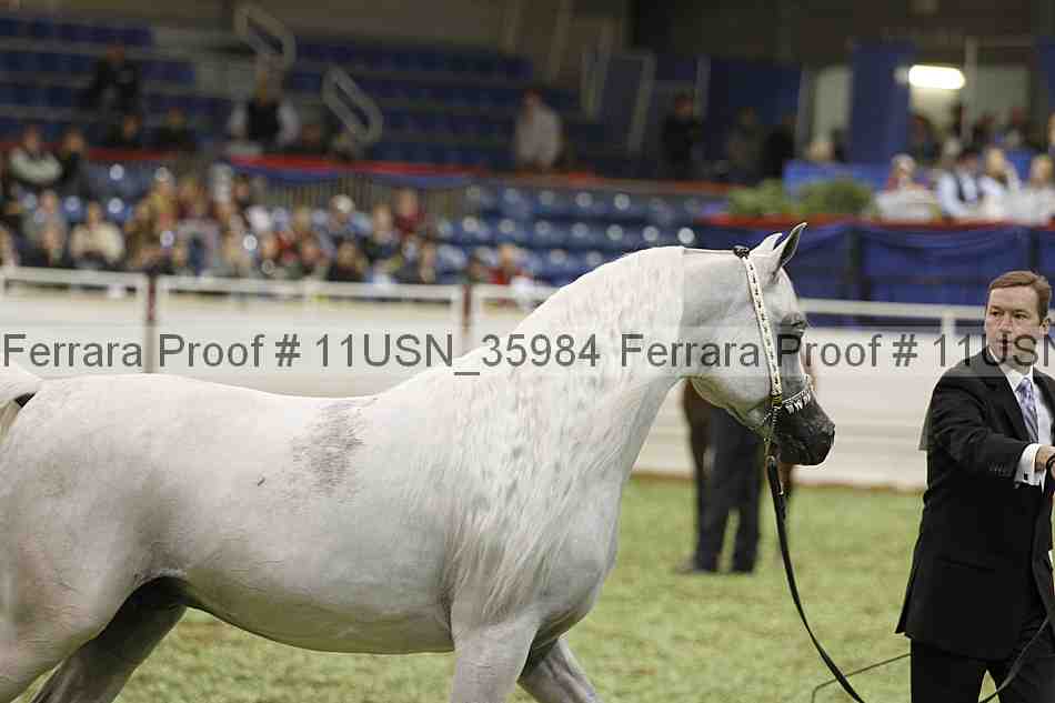 Proof 11usn_35984