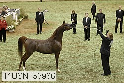 11usn_35986 proof