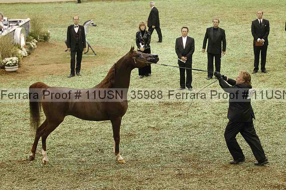 Proof 11usn_35988